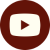 youtube_icon